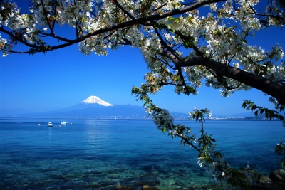 photo?id=5491&suffix=m