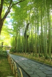 photo?id=5624&suffix=t
