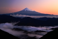 photo?id=5750&suffix=t