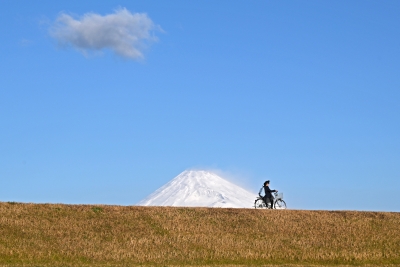 photo?id=5753&suffix=m