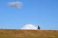 photo?id=5753&suffix=t