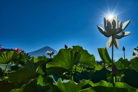 photo?id=5781&suffix=t