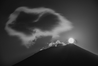 photo?id=5861&suffix=t