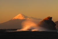 photo?id=5871&suffix=t