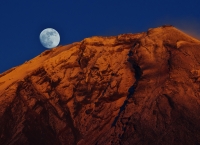 photo?id=5881&suffix=t