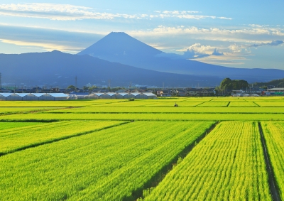 photo?id=5893&suffix=m