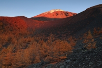 photo?id=5906&suffix=t