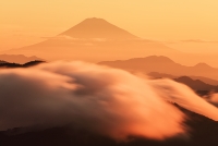 photo?id=5960&suffix=t