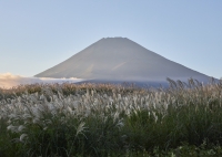 photo?id=5980&suffix=t