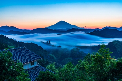 photo?id=6034&suffix=m