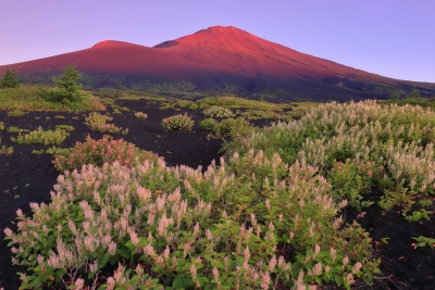 photo?id=6038&suffix=m