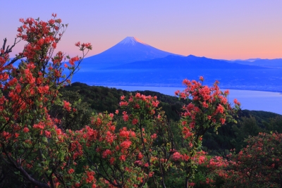 photo?id=6040&suffix=m