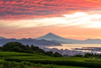 photo?id=6042&suffix=t