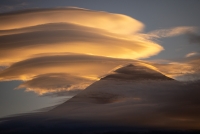 photo?id=6111&suffix=t