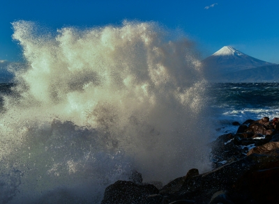 photo?id=6122&suffix=m