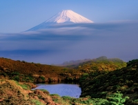 photo?id=6123&suffix=t