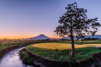 photo?id=6127&suffix=t