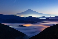 photo?id=6146&suffix=t