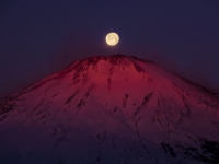 photo?id=6249&suffix=t