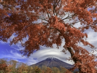 photo?id=6283&suffix=t