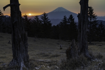 photo?id=6288&suffix=m