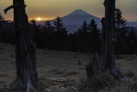 photo?id=6288&suffix=t