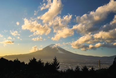 photo?id=6297&suffix=m