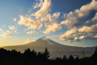 photo?id=6297&suffix=t