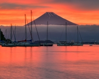 photo?id=6321&suffix=t