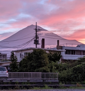 photo?id=6546&suffix=m