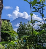 photo?id=6548&suffix=t