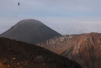 photo?id=6595&suffix=t