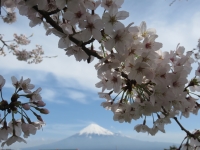 photo?id=671&suffix=t