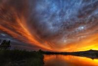 photo?id=6711&suffix=t