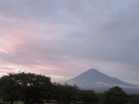 photo?id=672&suffix=t