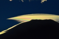 photo?id=675&suffix=t