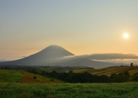 photo?id=6762&suffix=t