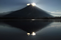 photo?id=678&suffix=t