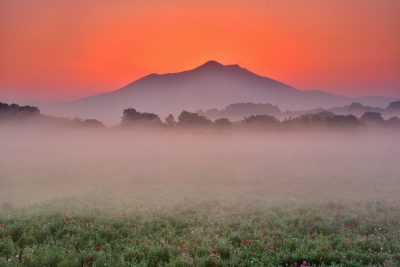 photo?id=6792&suffix=m