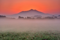 photo?id=6792&suffix=t