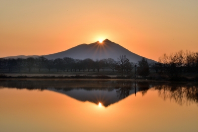 photo?id=6794&suffix=m
