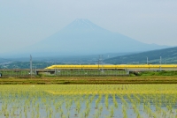 photo?id=680&suffix=t