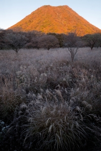 photo?id=6800&suffix=m