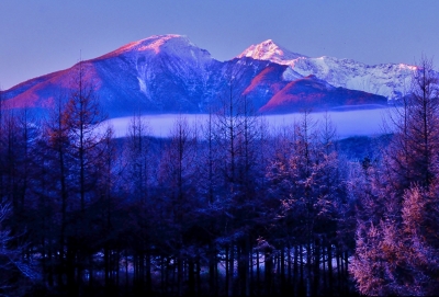 photo?id=6849&suffix=m