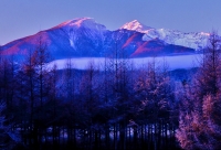 photo?id=6849&suffix=t