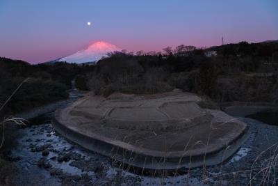 photo?id=6861&suffix=m
