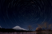 photo?id=687&suffix=t