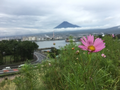 photo?id=688&suffix=m