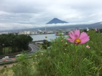 photo?id=688&suffix=t