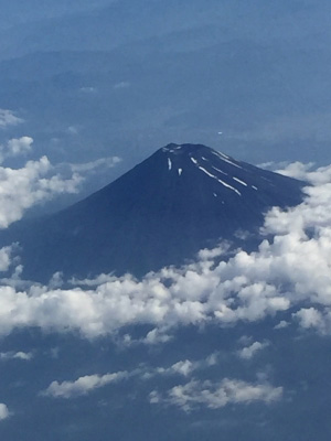 photo?id=689&suffix=m